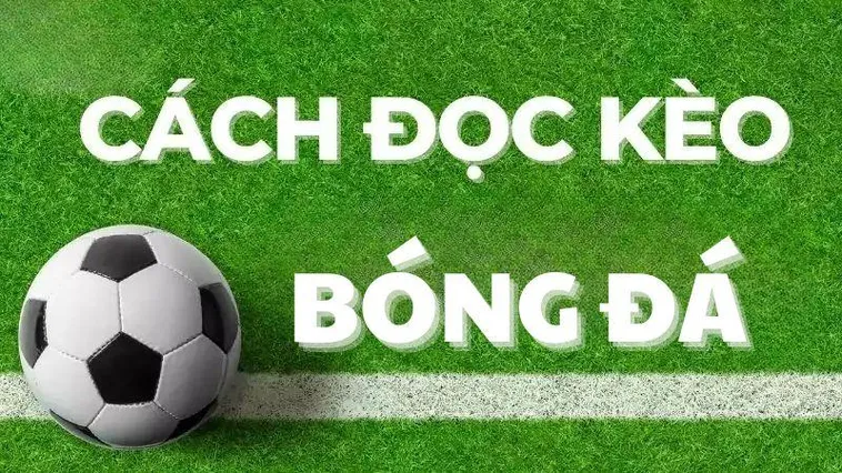 Thông tin kèo nhà cái đầy đủ – chuẩn xác theo thời gian thực tại bongdalu.