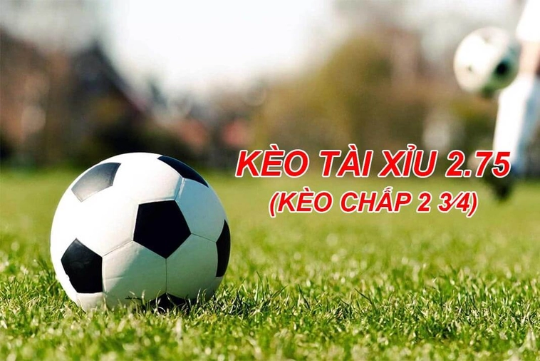 Cách Chơi Kèo 2.75 Tại BongDaLu Chuẩn Xác Và Hiểu Quả Nhất Hiện Nay