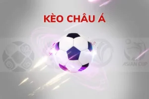 Cách Chơi Kèo Châu Á Tại BongDaLu Chuẩn Xác Cho Người Mới