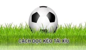 Cách Chơi Kèo Tài Xỉu Hiệp 1 Tại BongDaLu Hiệu Quả Và Chính Xác Nhất