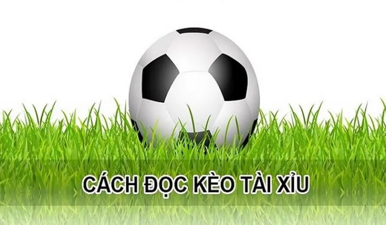 Cách Chơi Kèo Tài Xỉu Hiệp 1 Tại BongDaLu Hiệu Quả Và Chính Xác Nhất