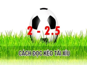 Cách Chơi Kèo 2.25 Tại BongDaLu Và Bí Quyết Tính Tiền Chuẩn Xác Nhất