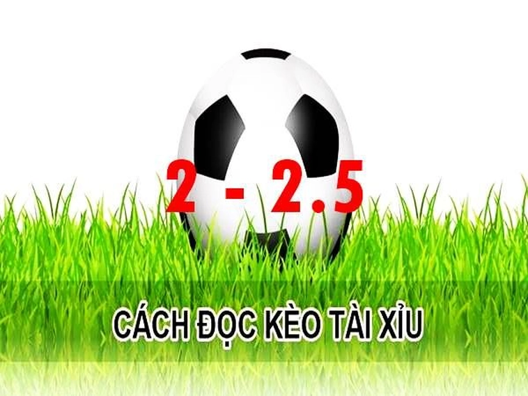 Cách Chơi Kèo 2.25 Tại BongDaLu Và Bí Quyết Tính Tiền Chuẩn Xác Nhất
