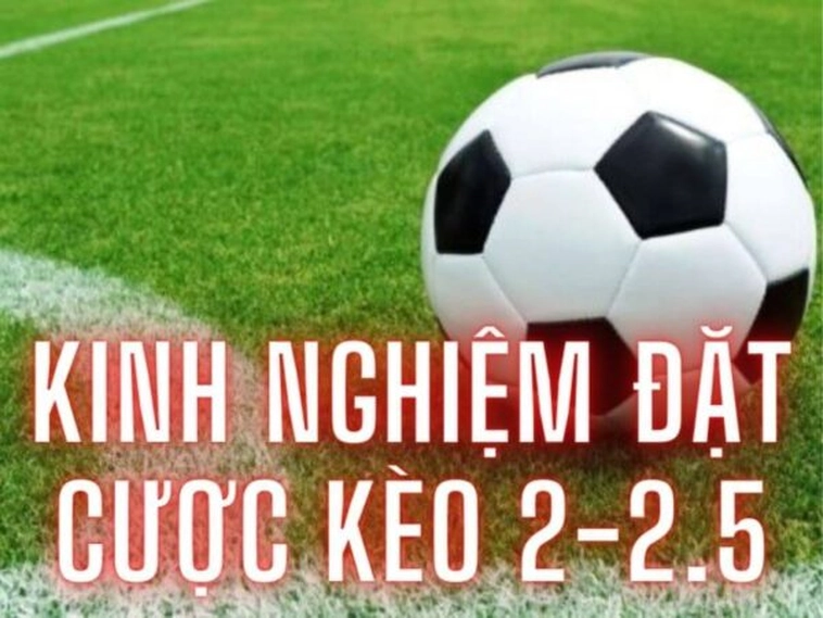 Cách Chơi Kèo 2.25 Tại BongDaLu Và Bí Quyết Tính Tiền Chuẩn Xác Nhất