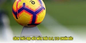 Cách Chơi Kèo Chấp 0.5 Tại BongDaLu Hiểu Chính Xác, Thắng Dễ Dàng
