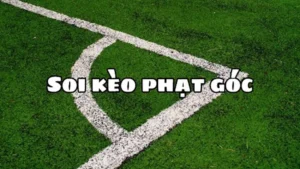 Cách Chơi Kèo Phạt Góc Bóng Đá Tại BongDaLu Chi Tiết Cho Người Mới