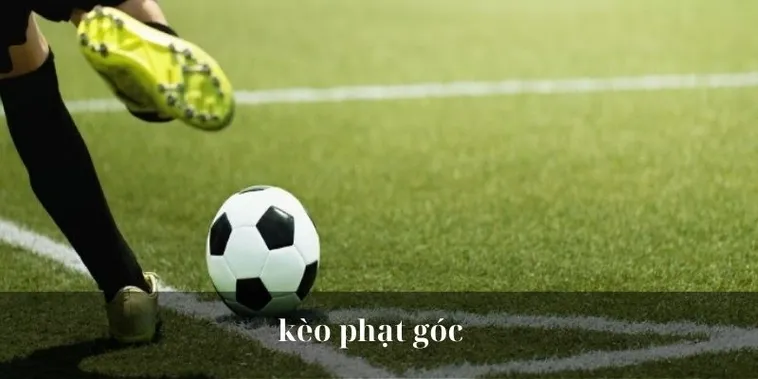 Cách Chơi Kèo Phạt Góc Bóng Đá Tại BongDaLu Chi Tiết Cho Người Mới