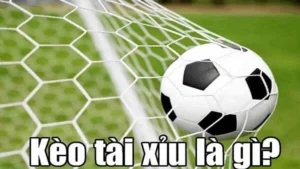 Hướng Dẫn Chi Tiết Cách Chơi Kèo Tài Xỉu Bóng Đá Tại BongDaLu Chuẩn Xác