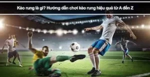 Cách Chơi Kèo Rung Trong Bóng Đá Tại BongDaLu Chuẩn Xác Cho Người Mới